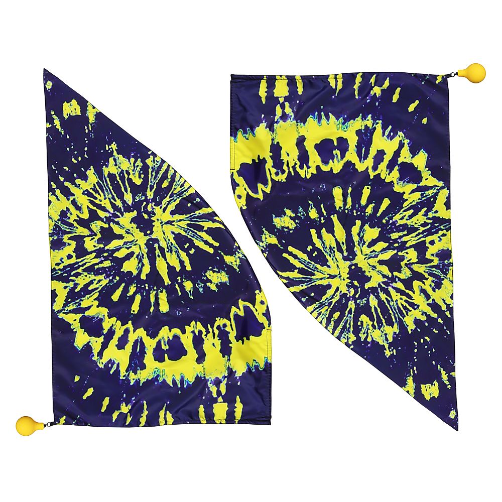 Pair of Classy Flags Poi