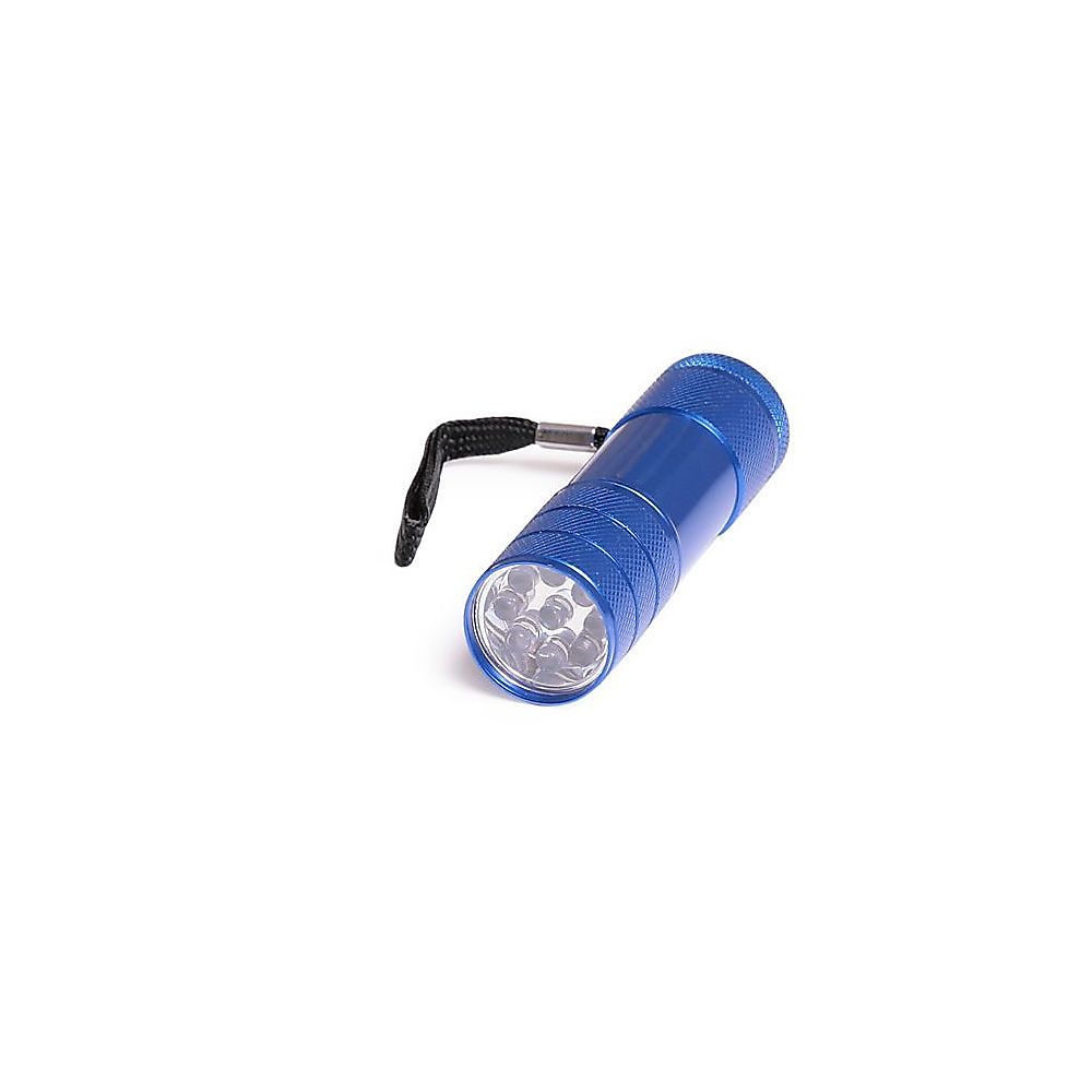 Torche UV à lumière noire portable à une main