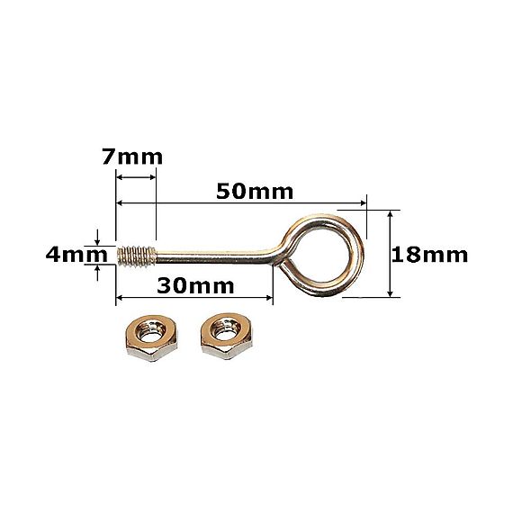 Single 50mm 2 Inch Stainless Steel Eyebolt with 2 Nuts