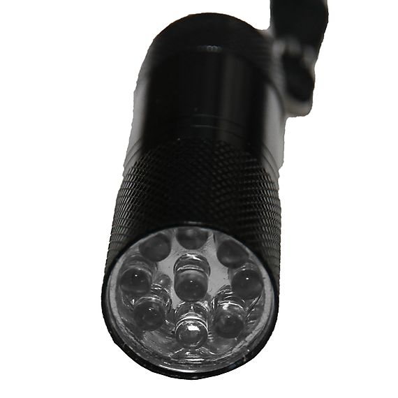 Single Hand-held Portable Blacklight UV Torch