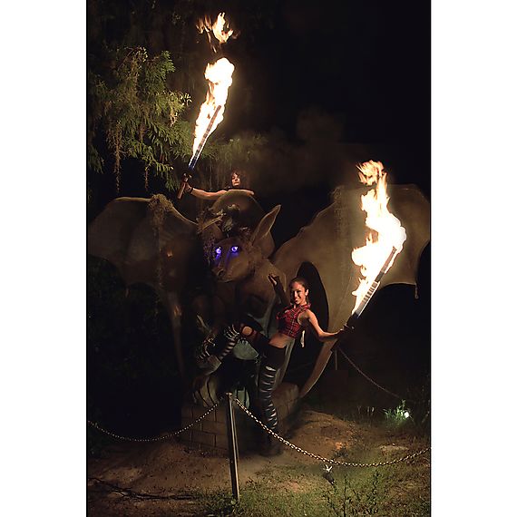 Single Pro Fire Sword