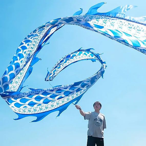 Single Pro Dragon Poi