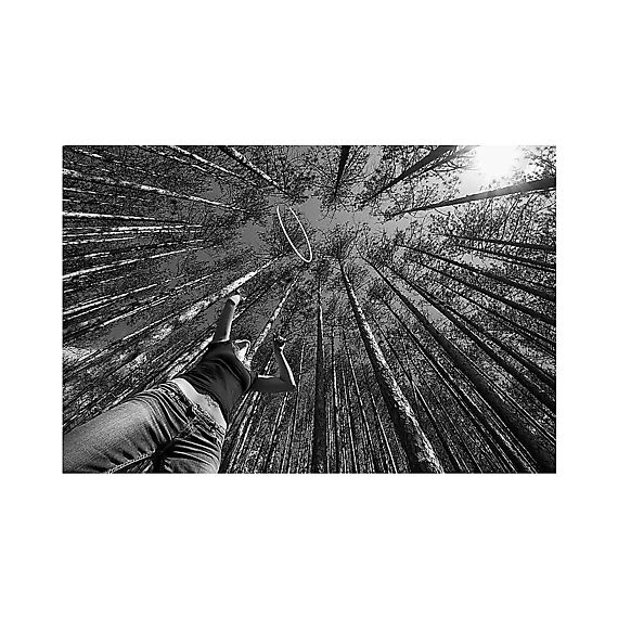 Pair of PolyPro Isolation Hoops