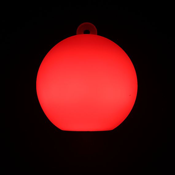 Pair of Pro-Bright LED Poi