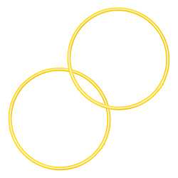 Purchase Pair of PolyPro Isolation Hoops here