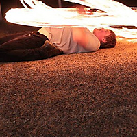 on the back butterfly