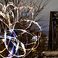 Blooms before sunrise