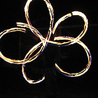 The First Flower of Spring