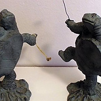 Turtles love to dance with poi!