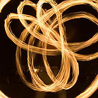 3 Petal Hybrid Flower