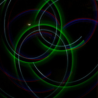 my first flower picture!