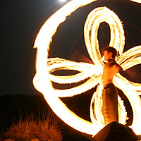 Japanese Flower Yuta