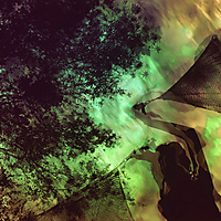 Flags of Freedom - II