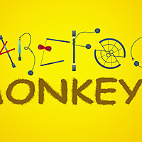 Barefoot Monkeys - Circus Troupe at Vassar College