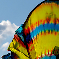Flag wings to fly and reach the clouds