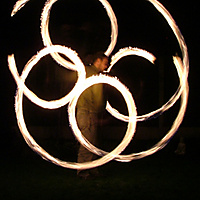 Flower in the darkness