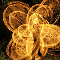 Fire snakes among the trees