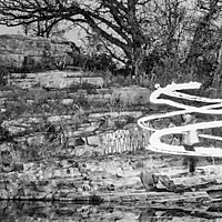 Ghosts in the Forrest