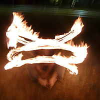 Wings or Chinese Lion Dance Face?