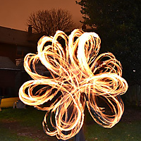 Samwise 10 point flower