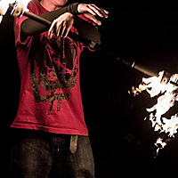 Not the average dragon