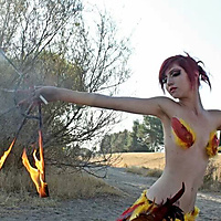 Flight of the Phoenix