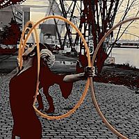 Flowshow by Shakta Tribe