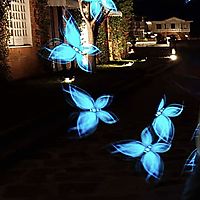 enchanted Poi Forest and Led Butterfly