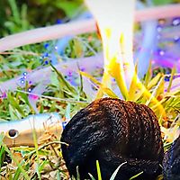 Let Your Stuff Set You Free