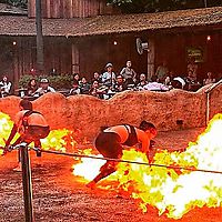 Fire Catching Ladies