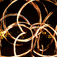 A Flower at the Tower