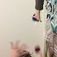 1 ball, 2 bags and an apple