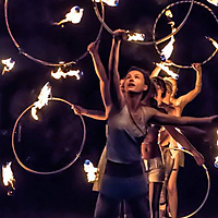 Nocturnal Sunshine Conclave