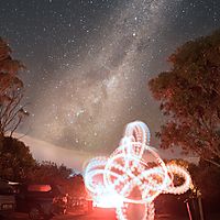 Flowers under the  Milky Way