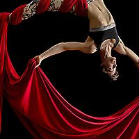 Elisa Oliva on Aerial Silks