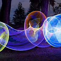 Electric through the forest