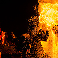 The Birdking drag to hell!