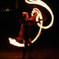 Bell Flowers can be Beautiful