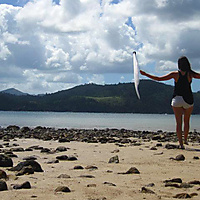 Sunny Day Whitsunday Island