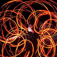 Igne Natura Renovatur Integra