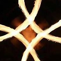 Hybrid four petal flower