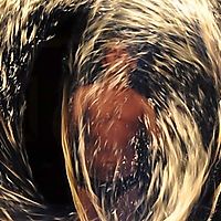 Single monkey fist fire poi