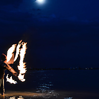 Moon Fire Butterfly