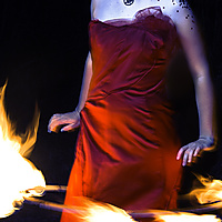 May the Odds Be Ever in Your Favor