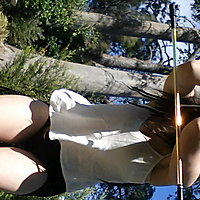 Wandering amongst the trees.