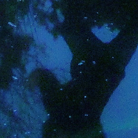 The Mirrored Universe