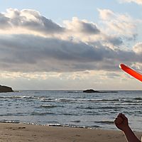 Taste Like Freestyle Frisbee