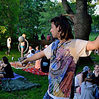 The Bean in The Trees.