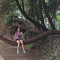 A faerie in the trees.