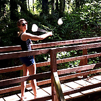 Forest of the Mountains